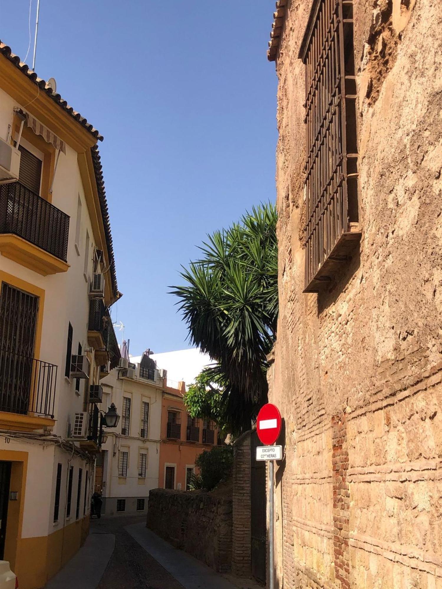 Apto Familiar Balcones A La Muralla قرطبة المظهر الخارجي الصورة